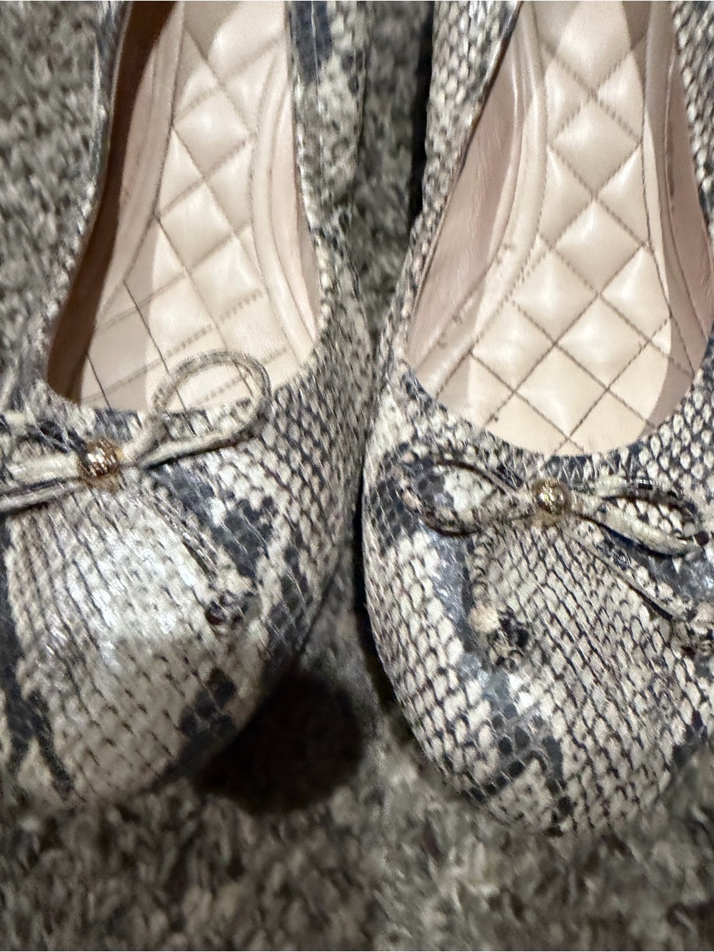 Cole Haan Neutral Snake-Print Ballet Flats with Bow Accent